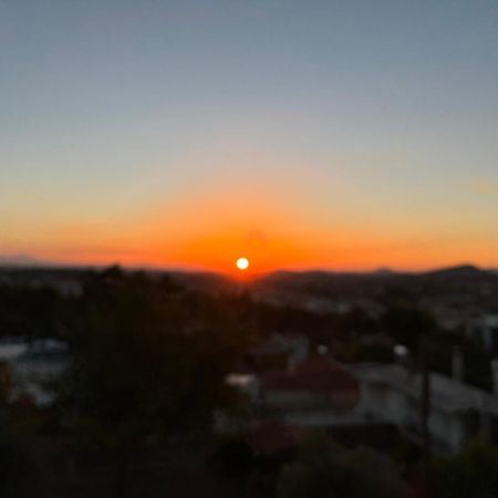 Panorama Γλυκά Νερά - Athens Apartment Екстериор снимка