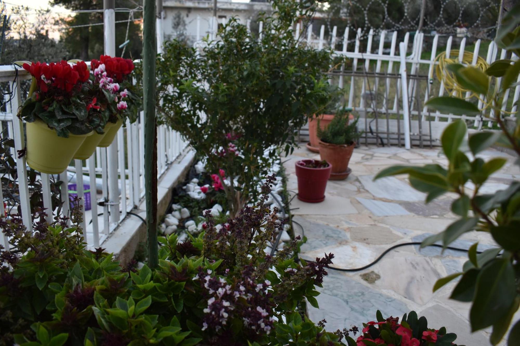 Panorama Γλυκά Νερά - Athens Apartment Екстериор снимка